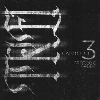 Capitolul 3