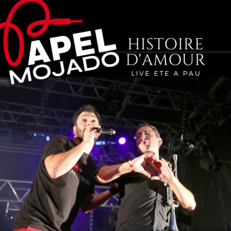 Histoire d'Amour (Live Eté à Pau) | Boomplay Music