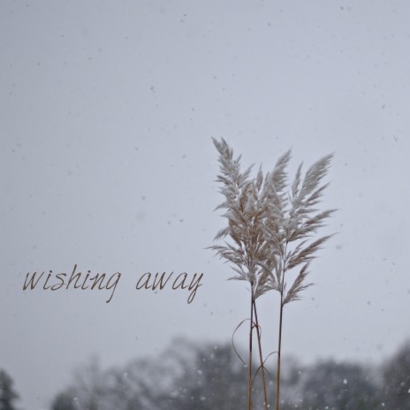 Wishing Away | Boomplay Music