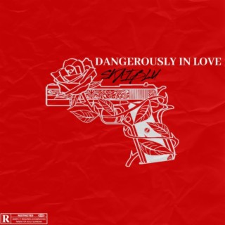 DANGEROUSLY IN LOVE