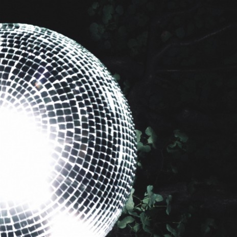 Disco All Night | Boomplay Music