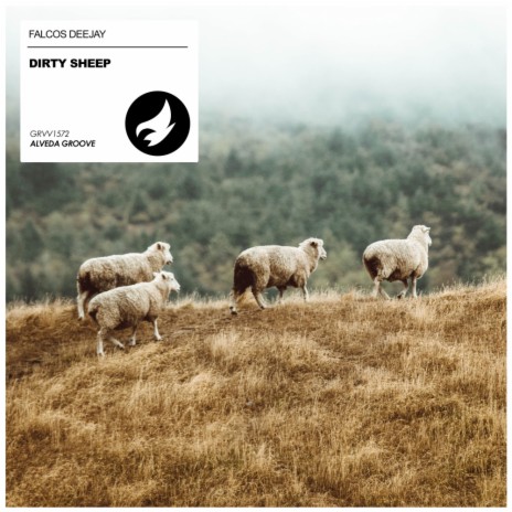 Dirty Sheep | Boomplay Music