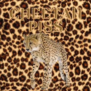 Cheetah Piss