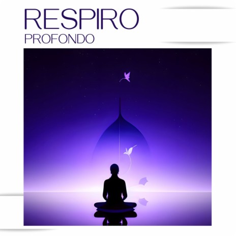 Presenza Consapevole | Boomplay Music