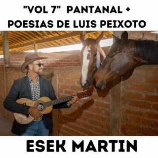 Vol 7 Pantanal + Poesias de Luis Peixoto