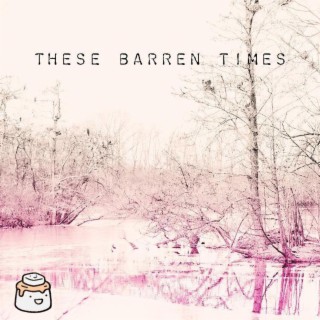 These barren times (feat. Lofuu Records)