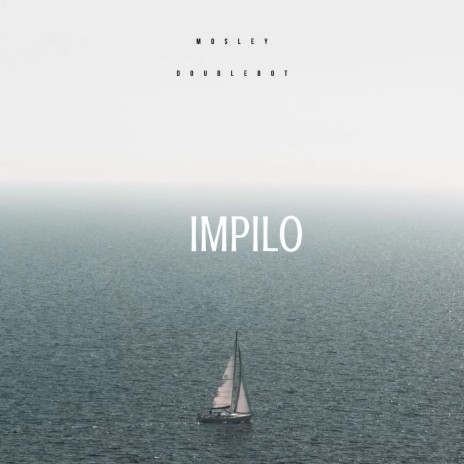 Impilo (feat. Doubledot) | Boomplay Music