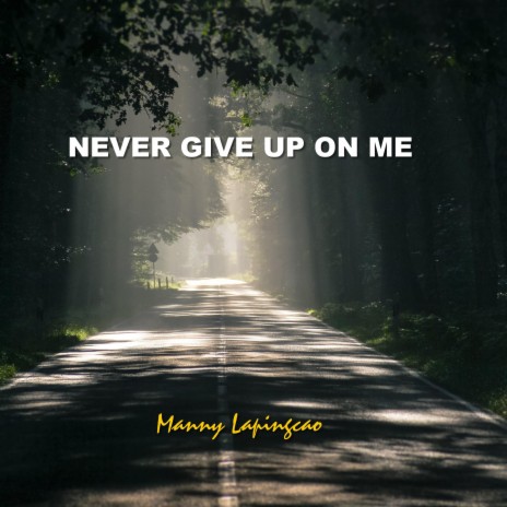 Never Give Up On Me | Boomplay Music