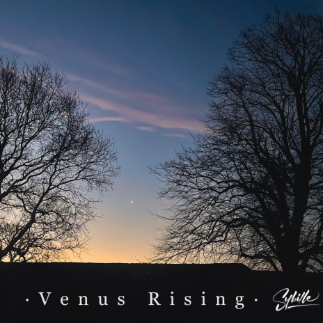 Venus Rising | Boomplay Music