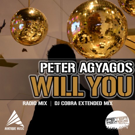 Will You (DJ Cobra Remix) ft. DJ Cobra | Boomplay Music