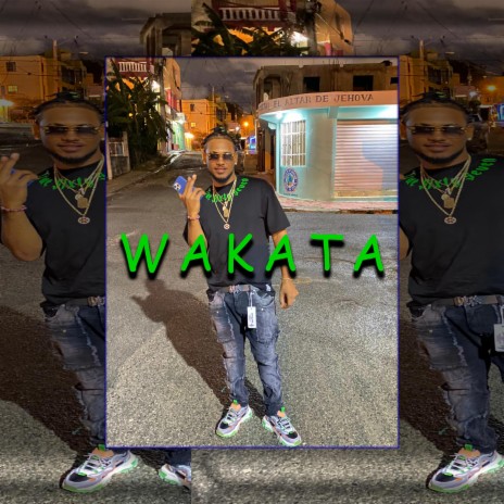 Wakata