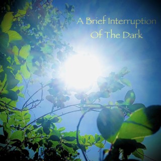 A Brief Interruption Of The Dark