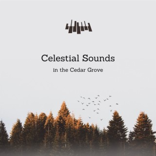 Celestial Sounds in the Cedar Grove