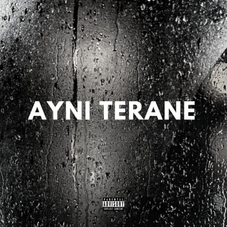 Aynı Terane | Boomplay Music