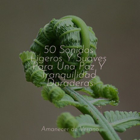 Canción Encantadora del Océano ft. Sonido Del Bosque y Naturaleza & Lullabyes | Boomplay Music