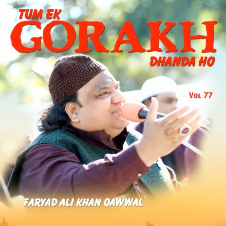 Tum Ek Gorakh Dhanda Ho | Boomplay Music