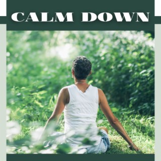 Calm Down: The Ultimate Anxiety Relief Music Album With Soothing Sounds for Relaxation and Stress Management