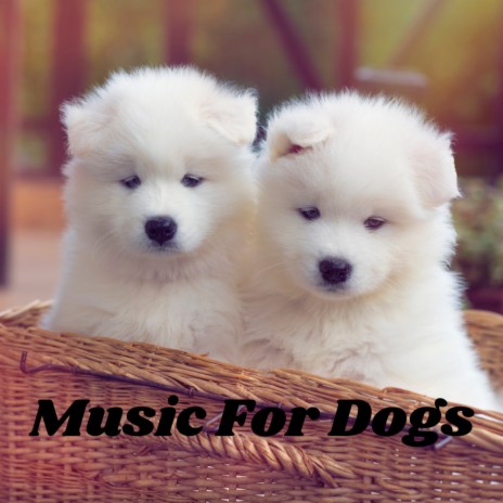Nap Time Music ft. Music For Dogs Peace, Relaxing Puppy Music & Calm Pets Music Academy