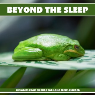 Beyond the Sleep: Melodies from Nature for Long Sleep Assured