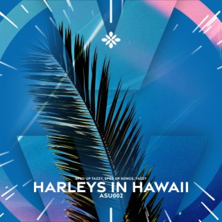 harleys in hawaii - sped up + reverb