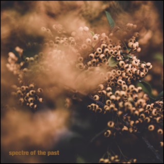 Spectre of the Past ep