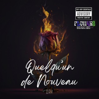 QUELQU'UN DE NOUVEAU