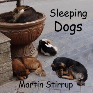 Sleeping Dogs