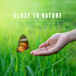 Close to Nature: Relax with the sounds of nature