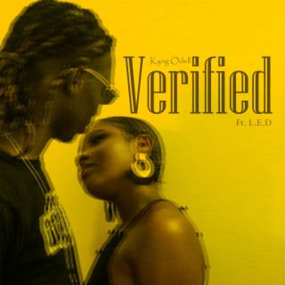 Verified ft. L.E.D lyrics | Boomplay Music