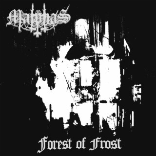 Forest of Frost