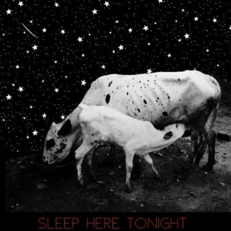 Sleep Here Tonight ft. Nivram