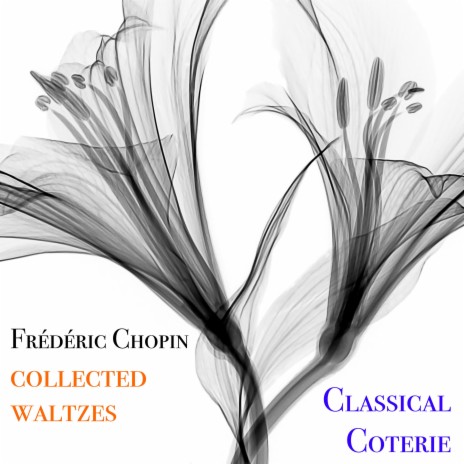 Waltz in E flat major, B. 133 (Sostenuto)