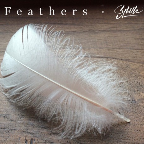 Feathers | Boomplay Music