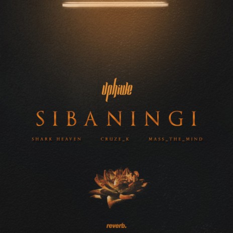 Sibaningi ft. Cruze_K, Shark Heaven & Mass_The_Mind | Boomplay Music