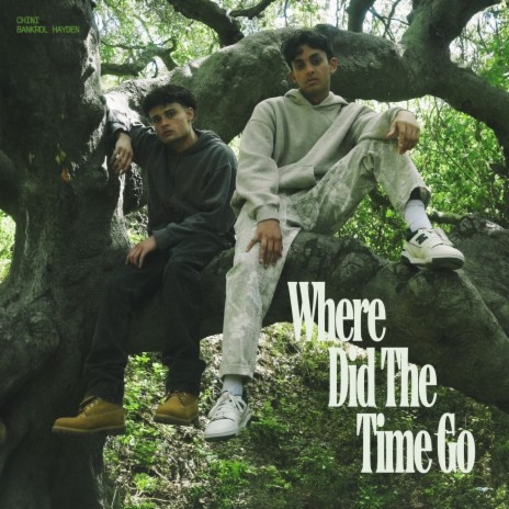 Where Did The Time Go (feat. Bankrol Hayden)