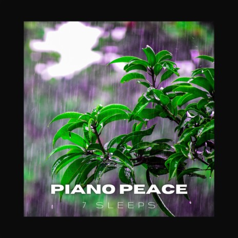 Rain & Thunder, Piano & Peace | Boomplay Music