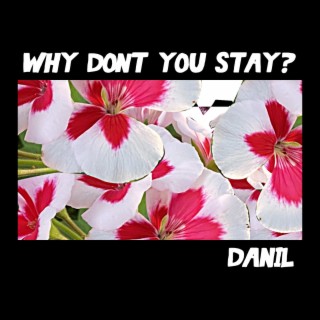 Why Don't You Stay?