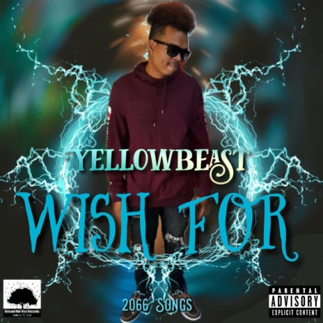 Wish For (2066 Songs) | Boomplay Music