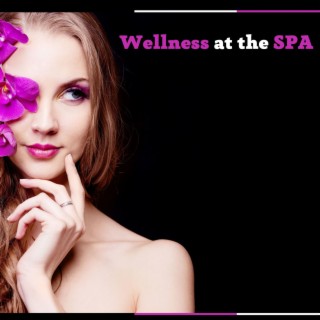 Wellness at the Spa: Music for Intense Relaxation at the Wellness Centre, Massage Session and Good Mood Treatments