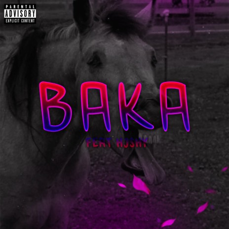 BAKA (feat. Hjshy) | Boomplay Music