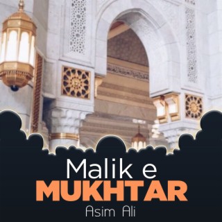 Malik e Mukhtar