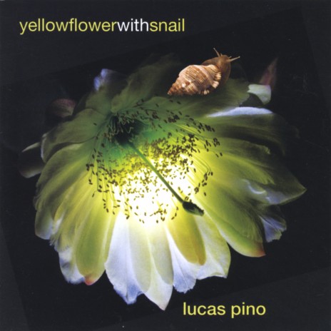 Yellow Flower With Snail | Boomplay Music