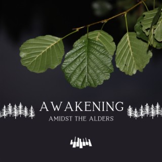 Awakening Amidst the Alders