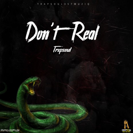 Don't Real | Boomplay Music