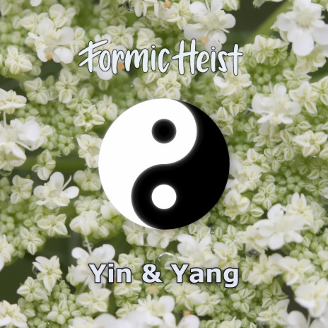 Yin & Yang | Boomplay Music
