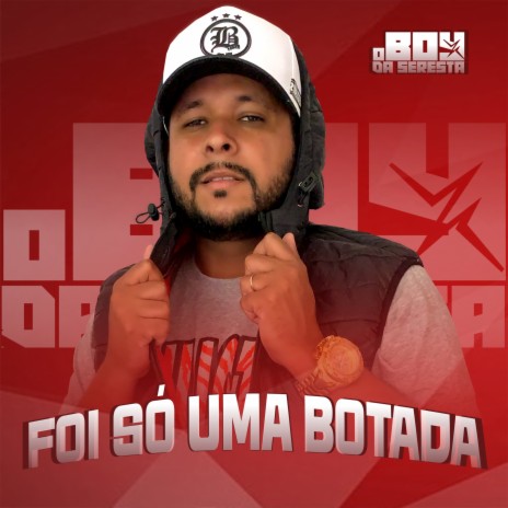 Foi Só uma Botada | Boomplay Music