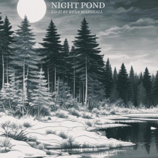 Night Pond