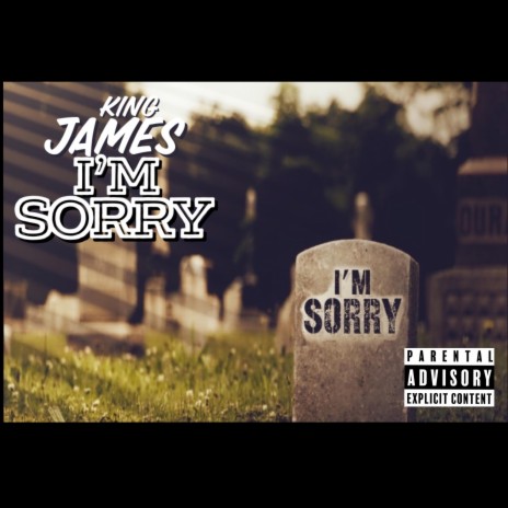 I'm Sorry 🅴 | Boomplay Music
