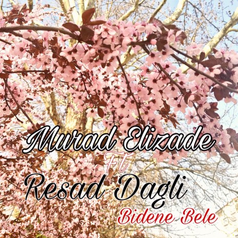 Bidene Bele ft. Resad Dagli | Boomplay Music
