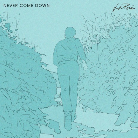 Never Come Down | Boomplay Music